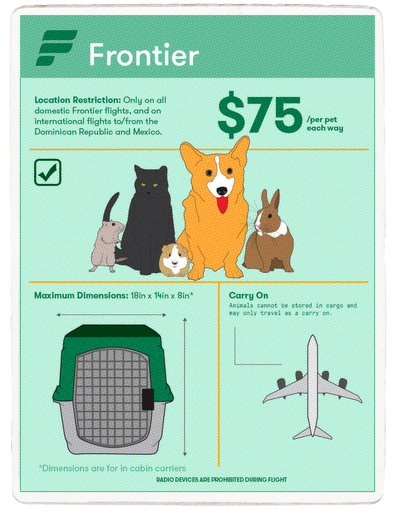 petcomer pet travel instructions